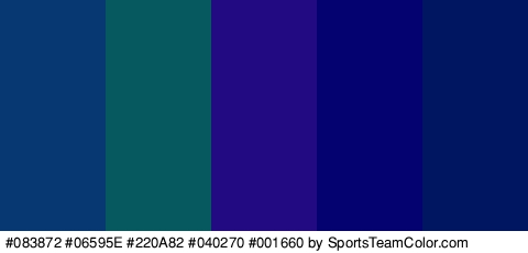 #083872 #06595E #220A82 #040270 #001660 Colors