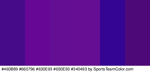 #460B89 #660796 #630E93 #650E93 #340493 #4D0977 Colors