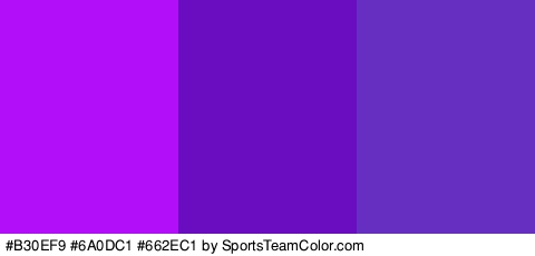 #B30EF9 #6A0DC1 #662EC1 Colors