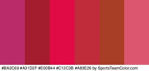 #BA2C69 #A31D2F #E00B44 #C12C3B #A83E26 #DD566F Colors