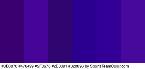 #3B0070 #470499 #2F0670 #2B0091 #320096 #46099B Colors