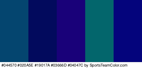 #044570 #020A5E #19017A #03666D #04047C Colors