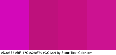 #D308B8 #BF117C #C60F80 #CC1291 Colors