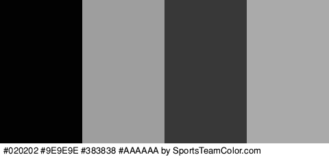 #020202 #9E9E9E #383838 #AAAAAA Colors