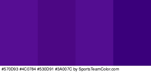 #570D93 #4C0784 #530D91 #3A007C Colors