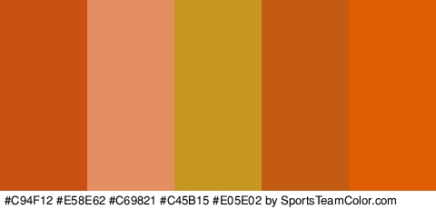 #C94F12 #E58E62 #C69821 #C45B15 #E05E02 Colors