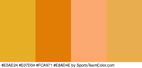 #E5AE24 #E07D04 #FCA971 #E8AD4E Colors