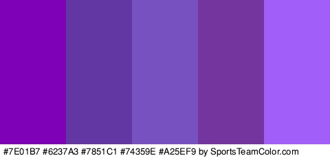 #7E01B7 #6237A3 #7851C1 #74359E #A25EF9 Colors