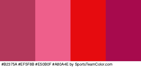 #B2375A #EF5F8B #E50B0F #A80A4E Colors