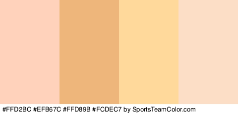 #FFD2BC #EFB67C #FFD89B #FCDEC7 Colors