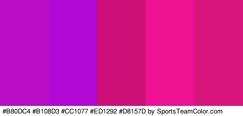 #B80DC4 #B108D3 #CC1077 #ED1292 #D8157D Colors