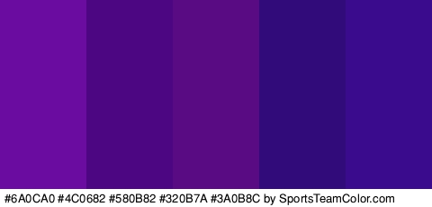 #6A0CA0 #4C0682 #580B82 #320B7A #3A0B8C Colors