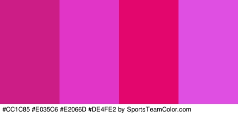 #CC1C85 #E035C6 #E2066D #DE4FE2 Colors