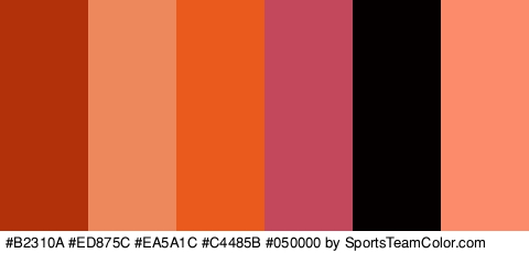 #B2310A #ED875C #EA5A1C #C4485B #050000 #FC8B6C Colors