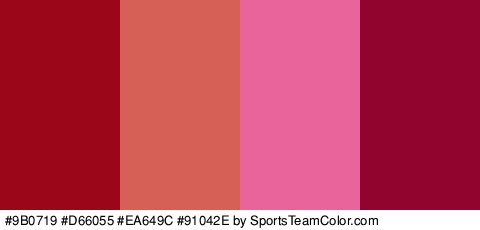 #9B0719 #D66055 #EA649C #91042E Colors