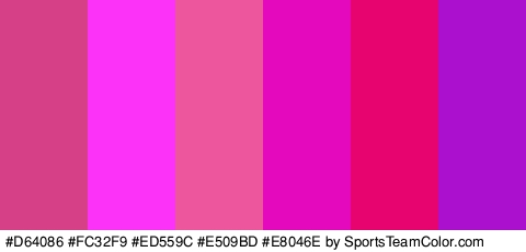 #D64086 #FC32F9 #ED559C #E509BD #E8046E #AB10CE Colors