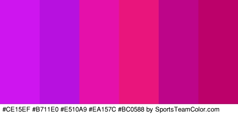 #CE15EF #B711E0 #E510A9 #EA157C #BC0588 #BC016B Colors