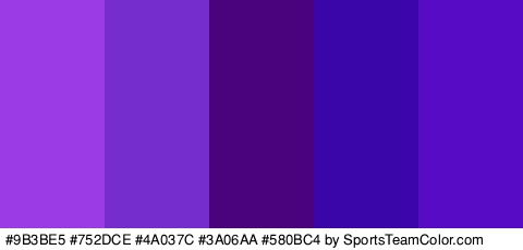 #9B3BE5 #752DCE #4A037C #3A06AA #580BC4 Colors