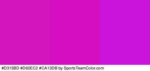 #D315BD #D60EC2 #CA13DB Colors