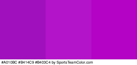 #A010BC #B414C9 #B403C4 Colors