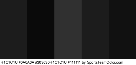 #1C1C1C #0A0A0A #303030 #1C1C1C #111111 Colors