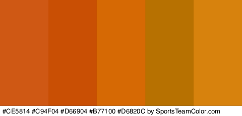 #CE5814 #C94F04 #D66904 #B77100 #D6820C Colors