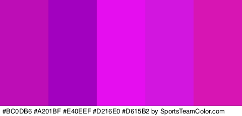 #BC0DB6 #A201BF #E40EEF #D216E0 #D615B2 Colors