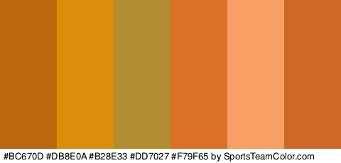 #BC670D #DB8E0A #B28E33 #DD7027 #F79F65 #CE6829 Colors