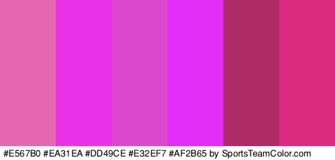 #E567B0 #EA31EA #DD49CE #E32EF7 #AF2B65 #DB2B80 Colors