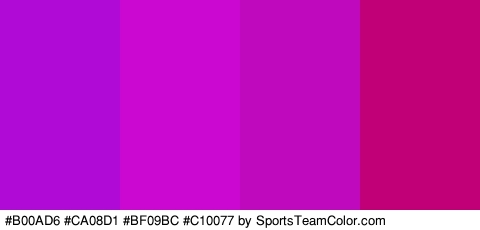 #B00AD6 #CA08D1 #BF09BC #C10077 Colors