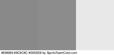 #898989 #8C8C8C #E8E8E8 Colors