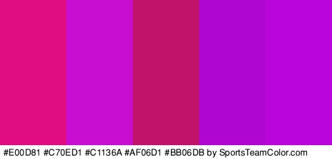 #E00D81 #C70ED1 #C1136A #AF06D1 #BB06DB Colors