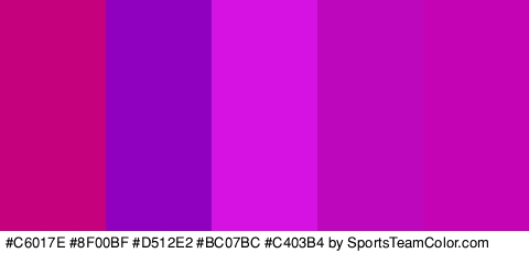 #C6017E #8F00BF #D512E2 #BC07BC #C403B4 Colors