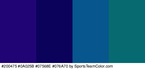 #200475 #0A025B #07568E #076A70 Colors