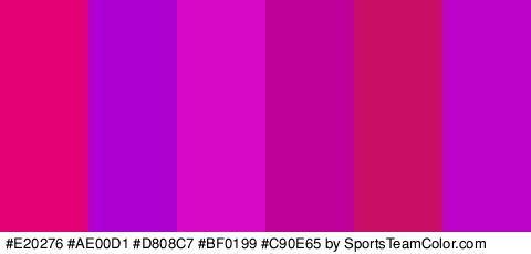 #E20276 #AE00D1 #D808C7 #BF0199 #C90E65 #BC04C9 Colors