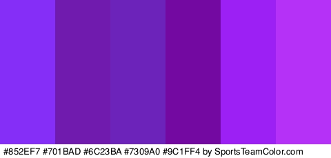 #852EF7 #701BAD #6C23BA #7309A0 #9C1FF4 #B531F7 Colors