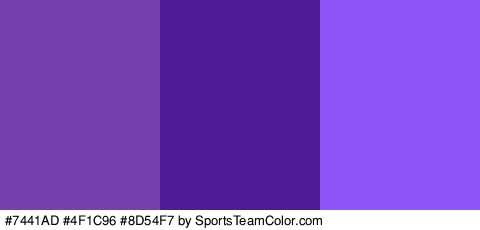 #7441AD #4F1C96 #8D54F7 Colors