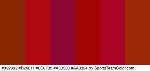 #892802 #B20811 #8C0735 #A30503 #AA0324 #9B2707 Colors