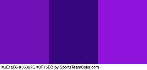 #6E12B5 #35067C #8F15DB Colors