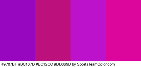 #9707BF #BC107D #BC12CC #DD069D Colors