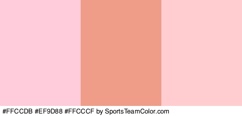 #FFCCDB #EF9D88 #FFCCCF Colors