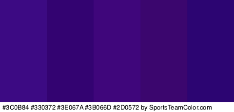 #3C0B84 #330372 #3E067A #3B066D #2D0572 Colors