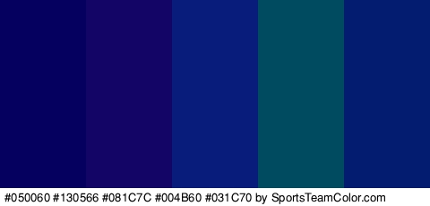 #050060 #130566 #081C7C #004B60 #031C70 Colors