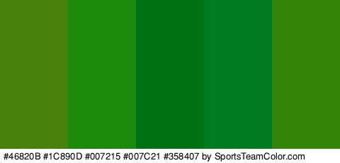 #46820B #1C890D #007215 #007C21 #358407 Colors