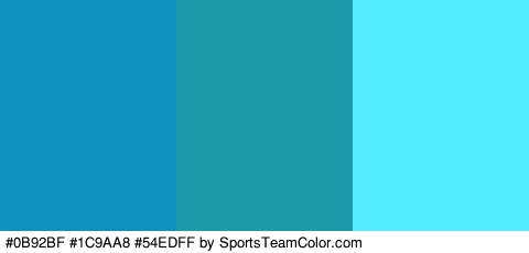 #0B92BF #1C9AA8 #54EDFF Colors