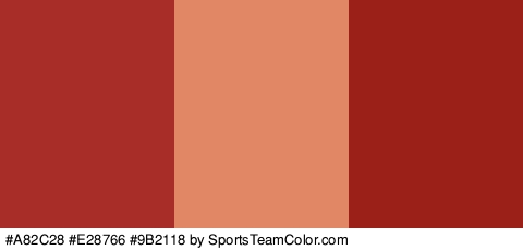 #A82C28 #E28766 #9B2118 Colors