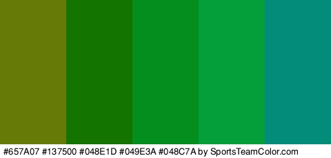 #657A07 #137500 #048E1D #049E3A #048C7A Colors