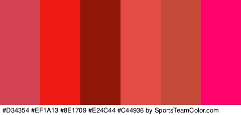 #D34354 #EF1A13 #8E1709 #E24C44 #C44936 #FF026B Colors