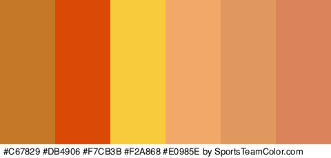 #C67829 #DB4906 #F7CB3B #F2A868 #E0985E #DB845C Colors