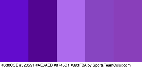 #630CCE #520591 #AE6AED #8745C1 #893FBA Colors